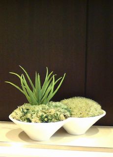 20111109084255.jpg